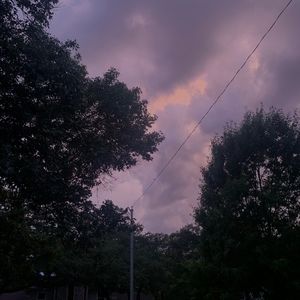 Meet your Posher, Audrey